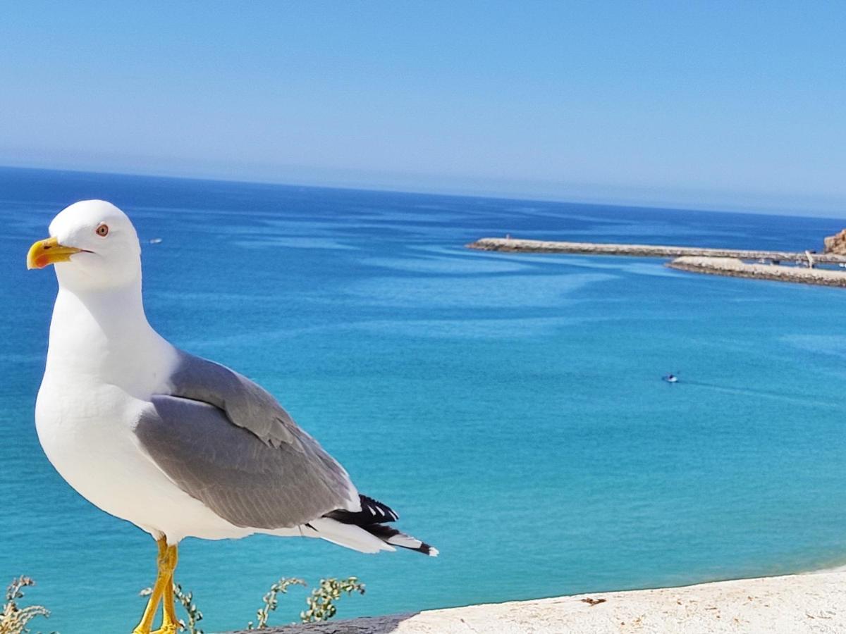 شقة Alzira By Rossio البوفيرا المظهر الخارجي الصورة